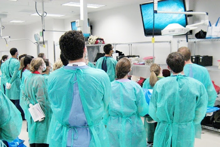 Tıp Fakültesi 2020 Taban Puanları ve Başarı Sıralaması