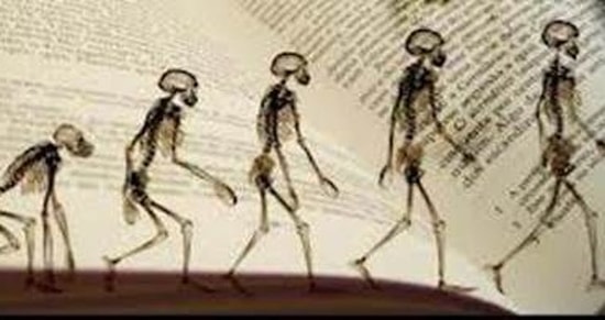 Antropoloji 2020 Taban Puanları ve Başarı Sıralamaları