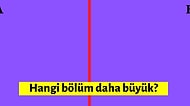 Bu 10 Görseldeki Farklılıkların Hepsini Bulabilecek misin?
