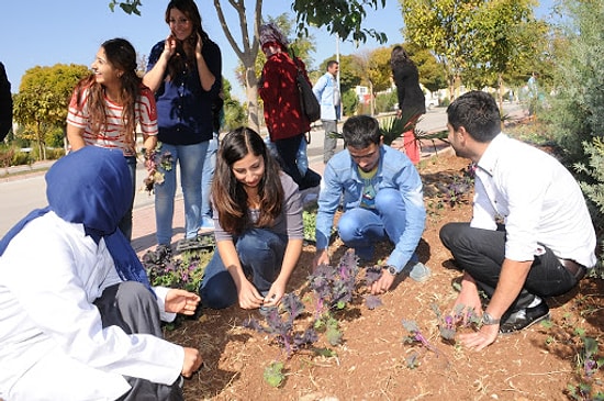 Bahçe Bitkileri 2020 Taban Puanları ve Başarı Sıralamaları