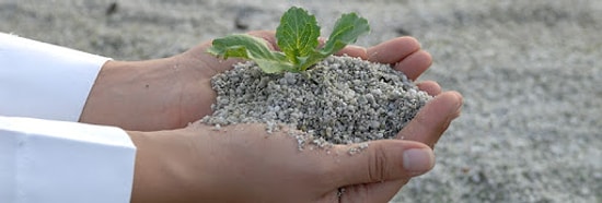 Bahçe Bitkileri Üretimi ve Pazarlaması 2020 Taban Puanları ve Başarı Sıralamaları