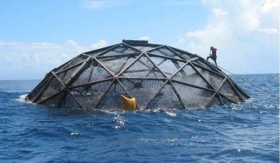 Balıkçılık Teknolojisi Mühendisliği 2020 Taban Puanları ve Başarı Sıralamaları