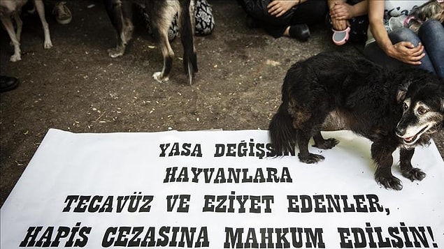 Bas bas bağırıyoruz, tüm yetkililere sesleniyoruz yıllardır! Hala bununla ilgili bir düzenleme yapılmış değil.