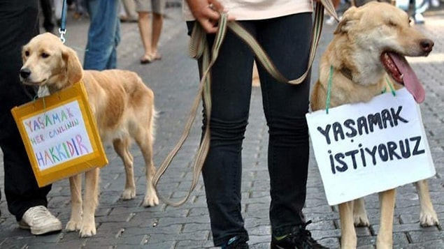 Her gün başka bir vahşet haberiyle sarsılmaktan çok sıkıldık. Şiddet cezasız kalamaz, kalmamalı!