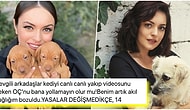 Artık Sabrımız Kalmadı! Ezgi Mola, Hayvana ve Kadına Şiddete Yasa Çıkmamasına Küfür Ederek Tepki Gösterdi