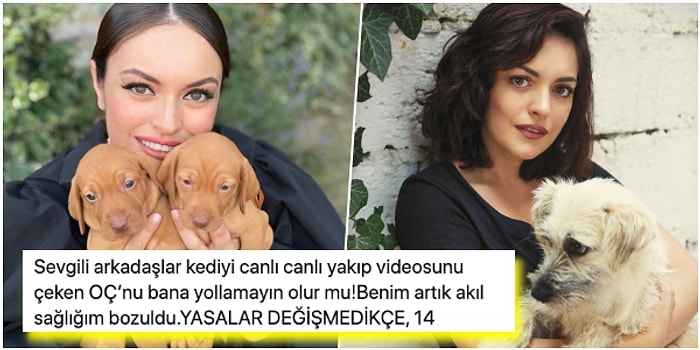 Artık Sabrımız Kalmadı! Ezgi Mola, Hayvana ve Kadına Şiddete Yasa Çıkmamasına Küfür Ederek Tepki Gösterdi