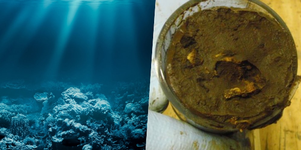 Bilim İnsanları Bir Şeyler Deniyor: Denizin Dibinde 100 Milyon Yıldır Uyuyan Mikroplar Canlandırıldı