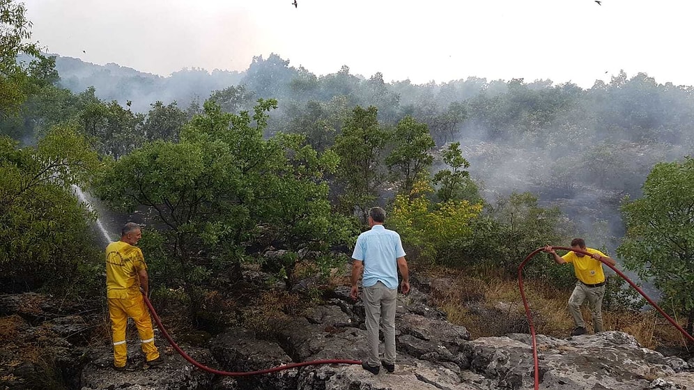 Orman Genel Müdürlüğü: 'Lice'deki Yangına Yerinde ve Zamanında Müdahale Edidi'