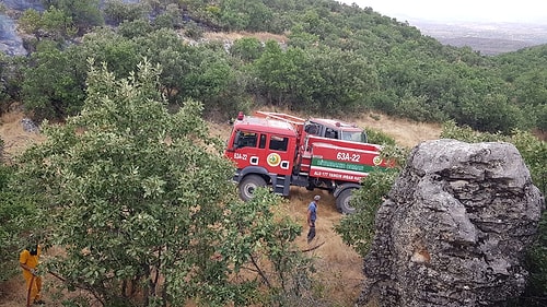 Orman Genel Müdürlüğü: 'Lice'deki Yangına Yerinde ve Zamanında Müdahale Edidi'