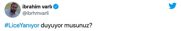 Orman Genel Müdürlüğü: 'Lice'deki Yangına Yerinde ve Zamanında Müdahale Edidi'
