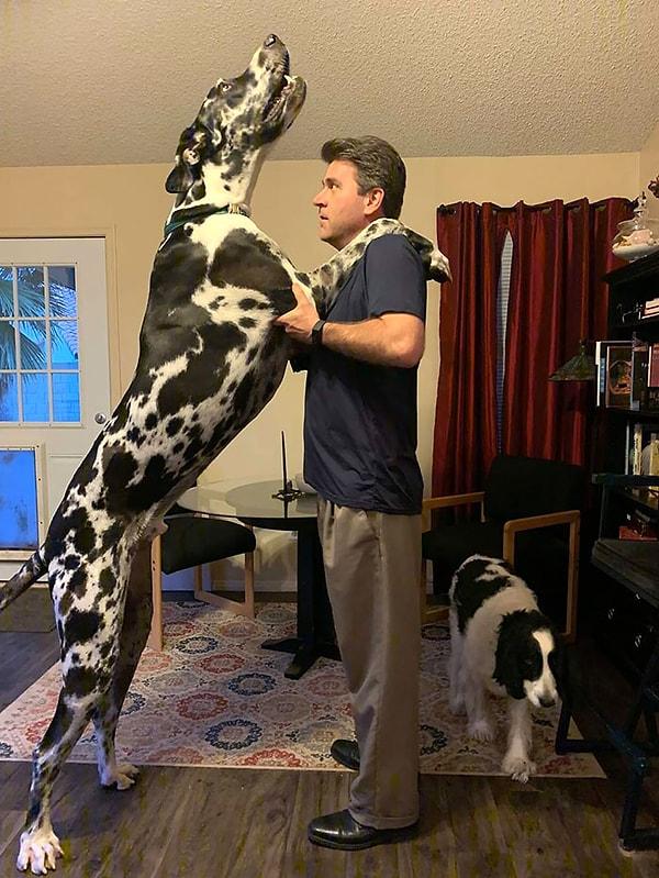15. "1.87 boyundaki babam ve köpeğimiz."