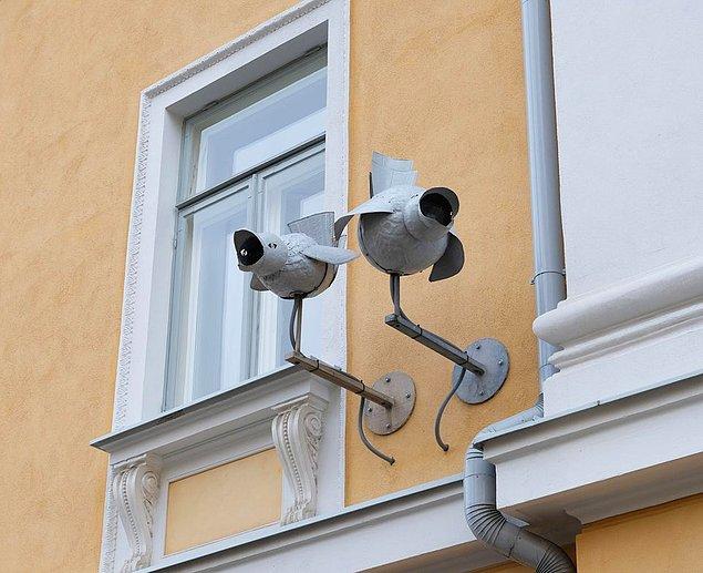 7. Kuş tasarımlı güvenlik kameraları:
