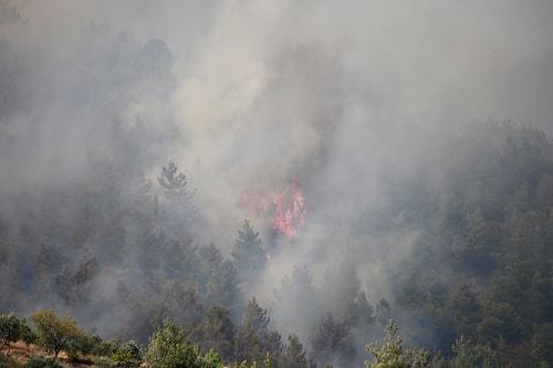 Çanakkale, İzmir, Hatay... Bugün 12 İlde Yangın Çıktı, Onlarca Hektar Orman Kül Oldu
