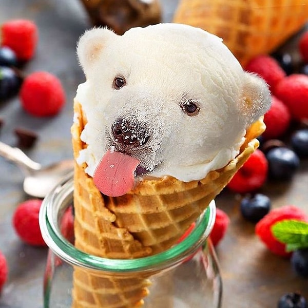 1. Полярное мороженое