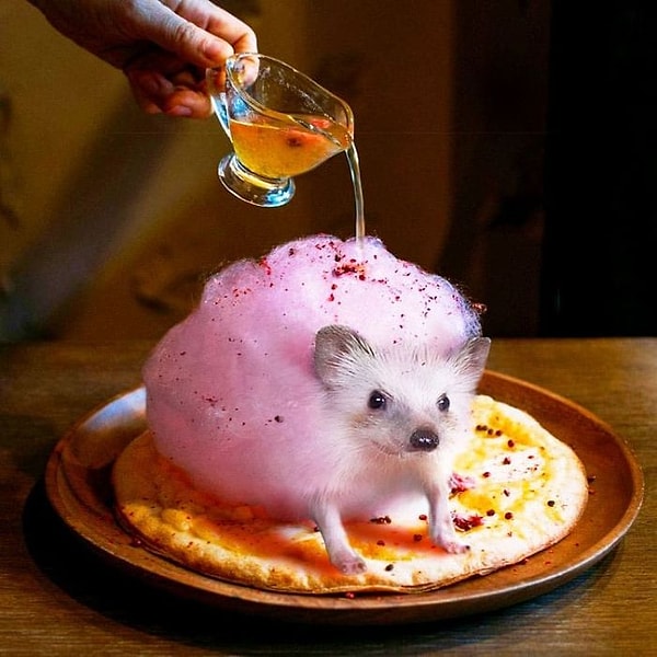 7. Сладкий ежик