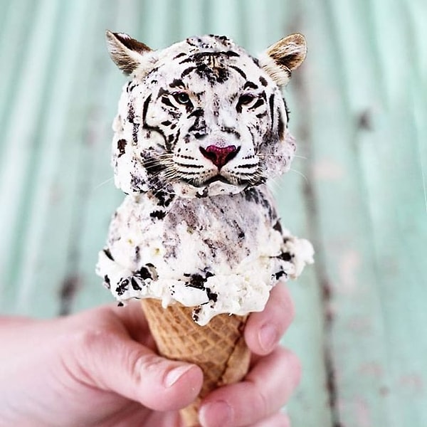 10. Белое тигроженое