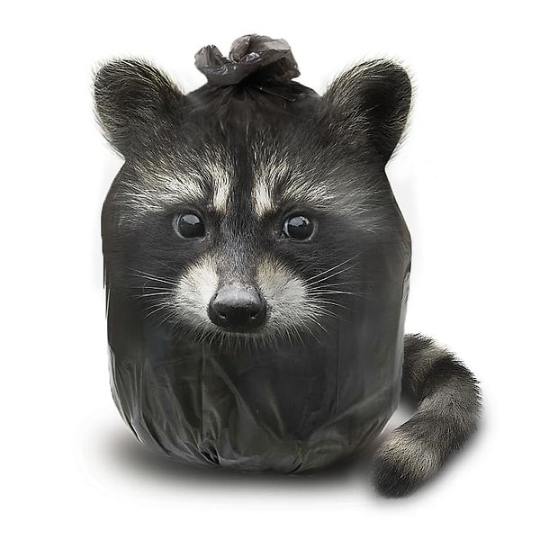 15. Пакенотик