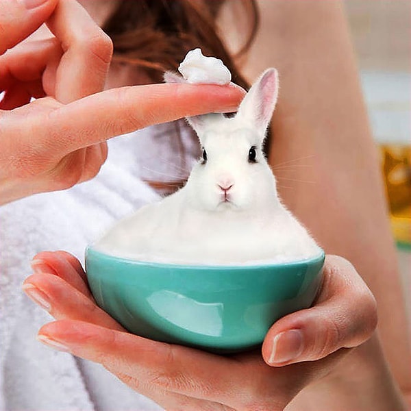 23. Тестеролик