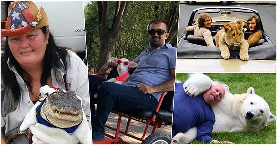 Penguenden Kuzuya Kadar Hayvanlarla Dostluğunu İleriye Taşıyarak Onlarla Adeta Kanka Olmuş İnsanlar