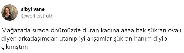 27. Siz buna bakmayın Şükran hanım, size iyi günler...