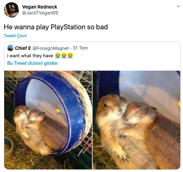 7. "Çok kötü PlayStation oynamak istiyor."