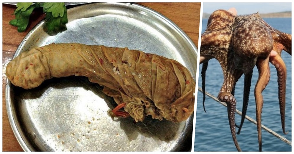 Asla ama Asla Yemeyeceğin Yemeği Paylaş, onedio'da Yayınlayalım!