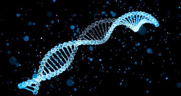 5. İnsan DNA'sının %8'ini önceden bizi hasta eden antik virüsler oluşturur.