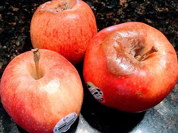 13. Çürüyen bir elma salgıladığı etilen dolayısıyla geri kalan tüm elmaların bozulmasına neden olur.
