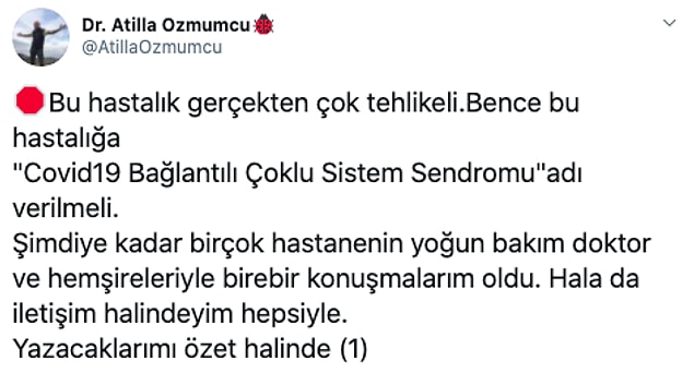 1. Bunlara ek olarak, salgının boyutları da düşündüğümüzden daha ileri seviyede olabilir. Twitter'da Atilla Özmumcu tarafından yapılan bu paylaşım, tam olarak buna işaret ediyor.
