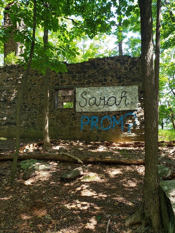 8. Парень испортил историческую стену, чтобы пригласить девушку на выпускной бал