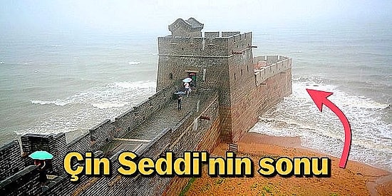 'Biraz Bakıp Geçerim' Diye Açıp Sonuna Gelene Dek Çıkamayacağınız, İnternetin Hakimi 16 Görüntü