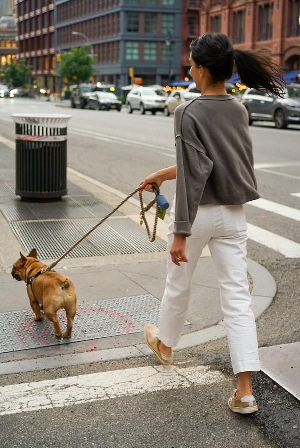 1. Fransa'da köpeğin ardından ilk adımı sol adımla attığınızda mutlu olacağınıza inanılır.