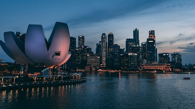 11. Singapur'da 21 yaşına basan herkes, otomatik olarak organ donörü olur.
