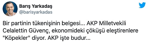 Ülkenin Ekonomi Yönetimini Eleştirenlere 'Köpek' Diyen AKP Milletvekili Tepkilerin Odağında