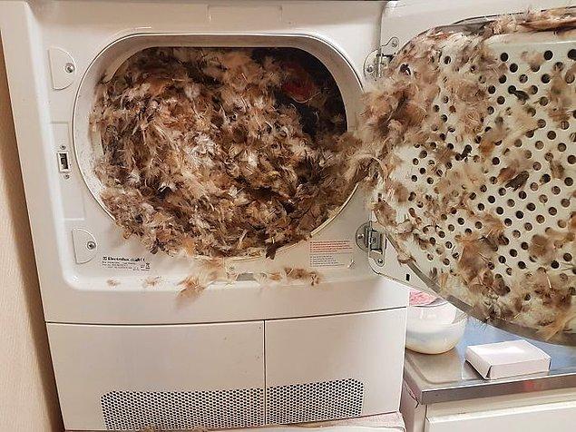 19. Bunu temizleyene kadar çamaşır makinesini evden atarım daha iyi.