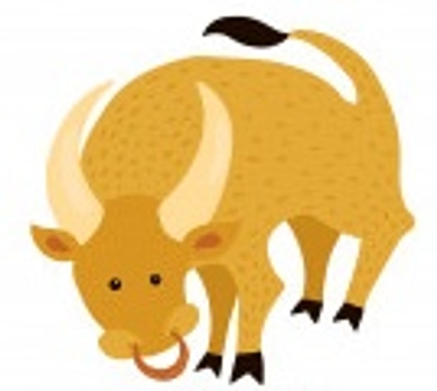 Boğa