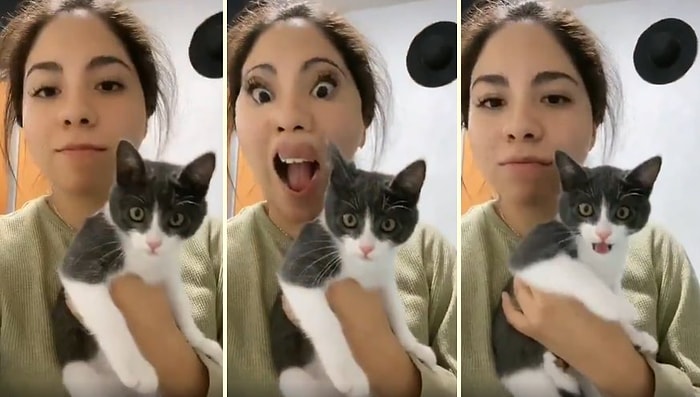 İnsan Dostunun TikTok Filtresinden Efsane Bir Şekilde Korkan Kedi