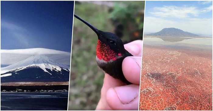 Dünyamızın Çeşitli Yerlerinden Görmeye Alışık Olmadığımız Mükemmel Görüntüler