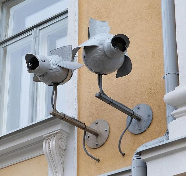 5. Kuş gibi görünen bazı güvenlik kameraları.