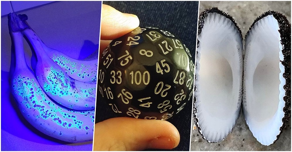 Gördüğünüzde Hayatın Ne Kadar Muhteşem Olduğunun Bir Kez Daha Farkına Varacağınız 21 Harika Görsel