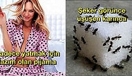Beyler Darılmaca Yok! Kadınların Gözünden Erkeklerin Aşırı Benzediği 15 Şey