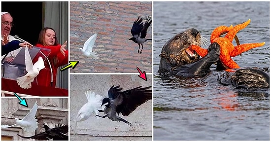 Doğanın Korkutucu Yüzünü İliklerinize Kadar Hissetmenize Sebep Olacak Birbirinden Ürkütücü 19 Yeni Fotoğraf