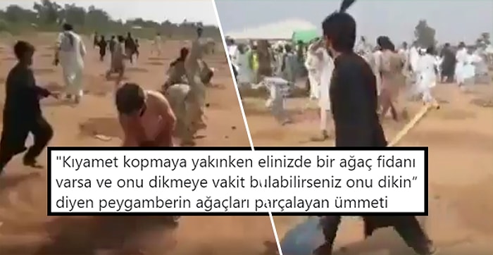 Pakistan'da 'İslam'a Aykırı' Olduğu Gerekçesiyle Ağaçları Söküp Fidanları Parçaladılar İddiası Ortalığı Karıştırdı!