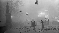 1952 Londra'sında Beş Günde Binlerce Kişinin Canını Alan Ürkütücü Doğa Olayı: Öldüren Sis