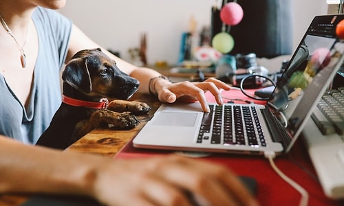 Korona Döneminde Evde Çalışmak Zorunda Olan Çalışanlar İçin Eve Ofis Sesini Getiren Siteler