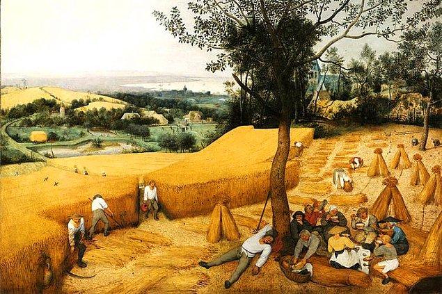 İngiltere'de başlayan tarımda çitleme 16. yüzyıldan 19. yüzyıla kadar devam etti.