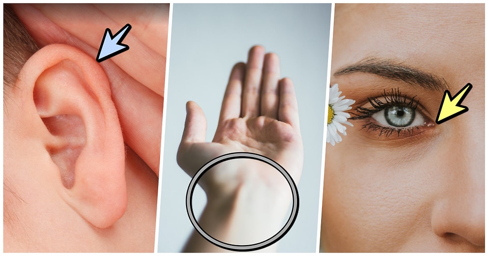 Geçirdiğimiz Evrim Sonrasında Vücudumuzda Yer Almasına Rağmen İşlevini Yitirmiş Kısımlar