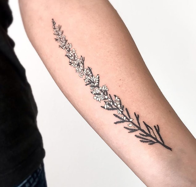 12. 👇