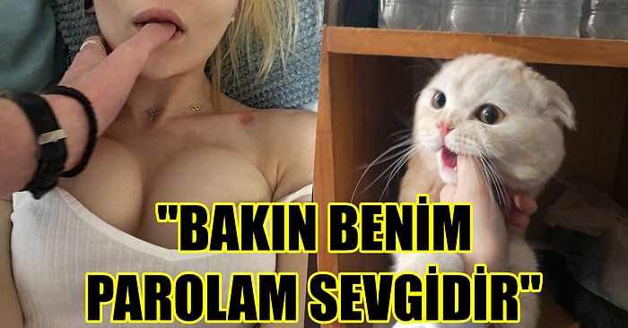 Cinsel Hayatını Bir Film Repliğiyle Anlat, Yarıla Yarıla onedio'da Yayınlayalım!