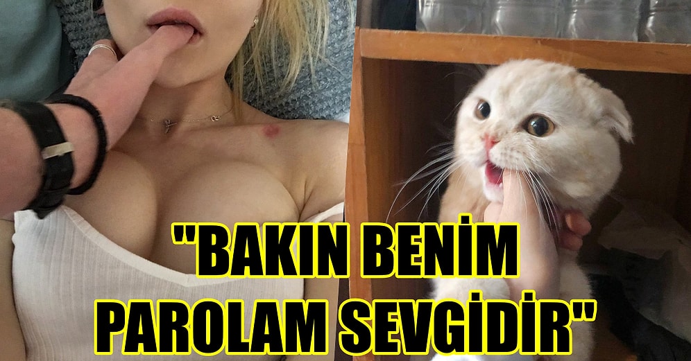 Cinsel Hayatını Bir Film Repliğiyle Anlat, Yarıla Yarıla onedio'da Yayınlayalım!